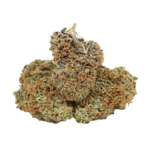 Violator Kush strain cannabis