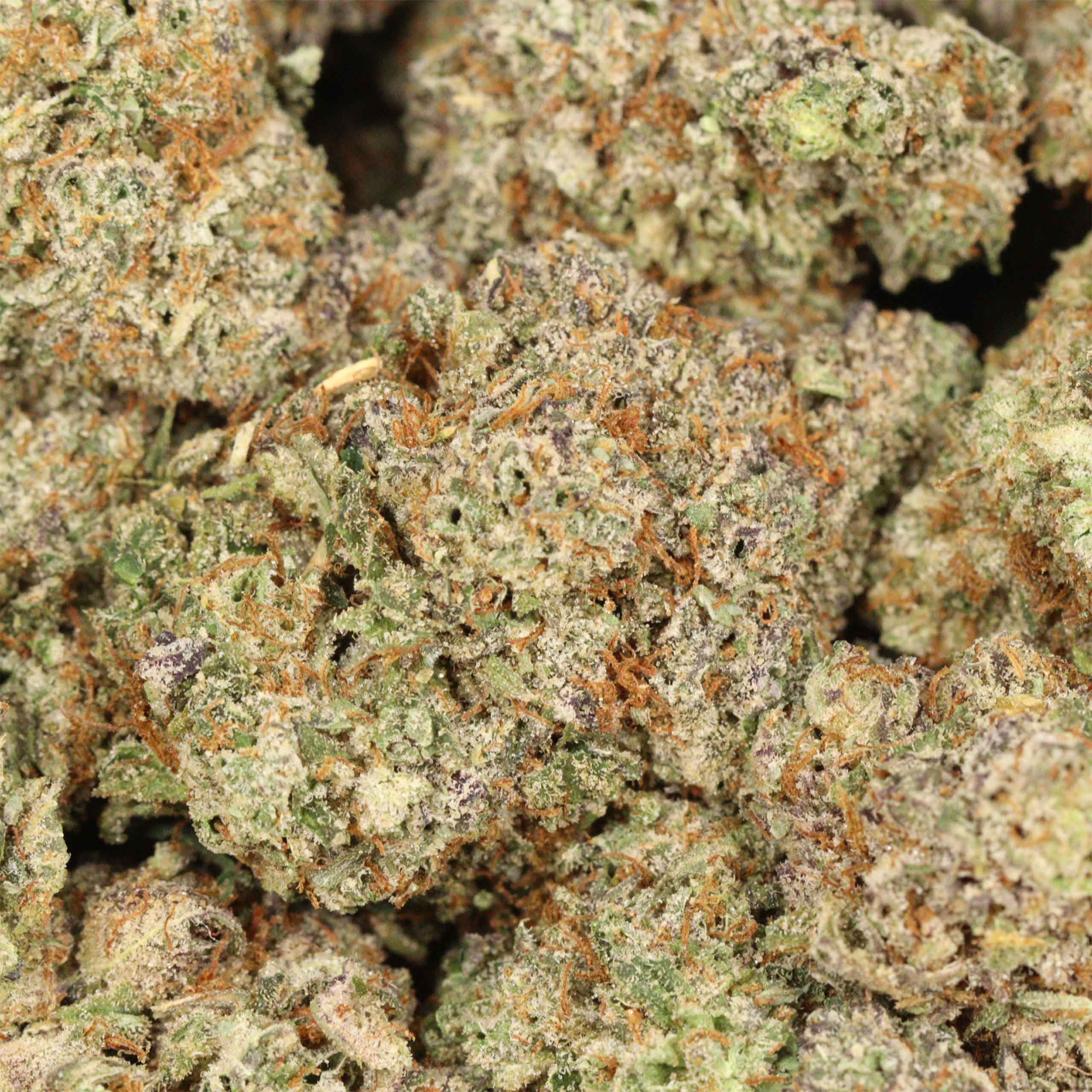 White Fire OG cannabis