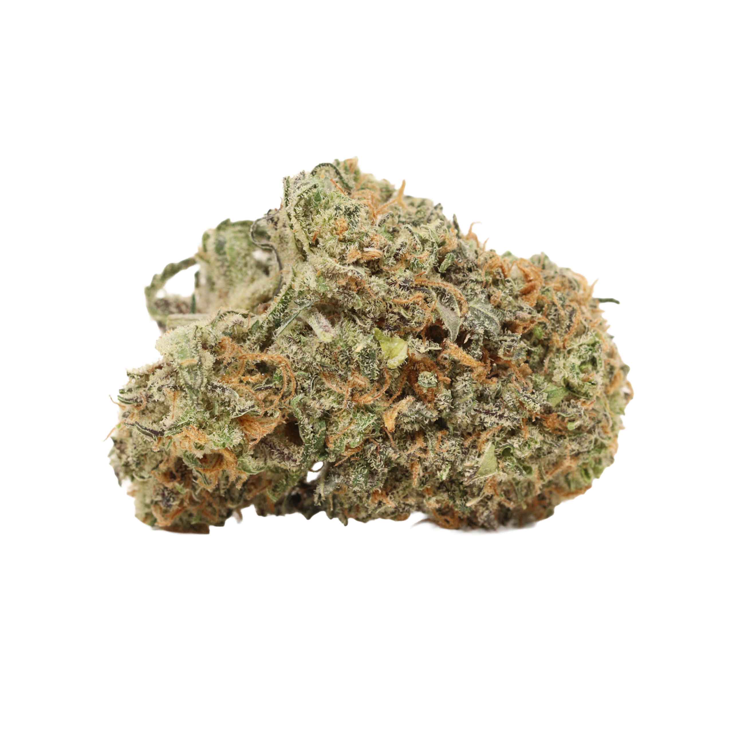 White Truffle weed cannabis
