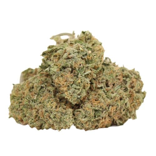 White Wedding strain cannabis
