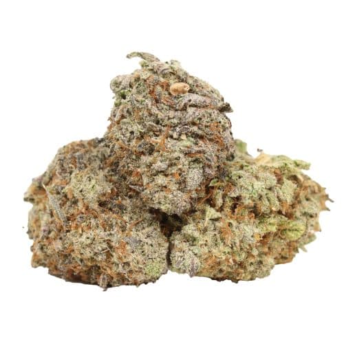 Bruce Banner strain cannabis