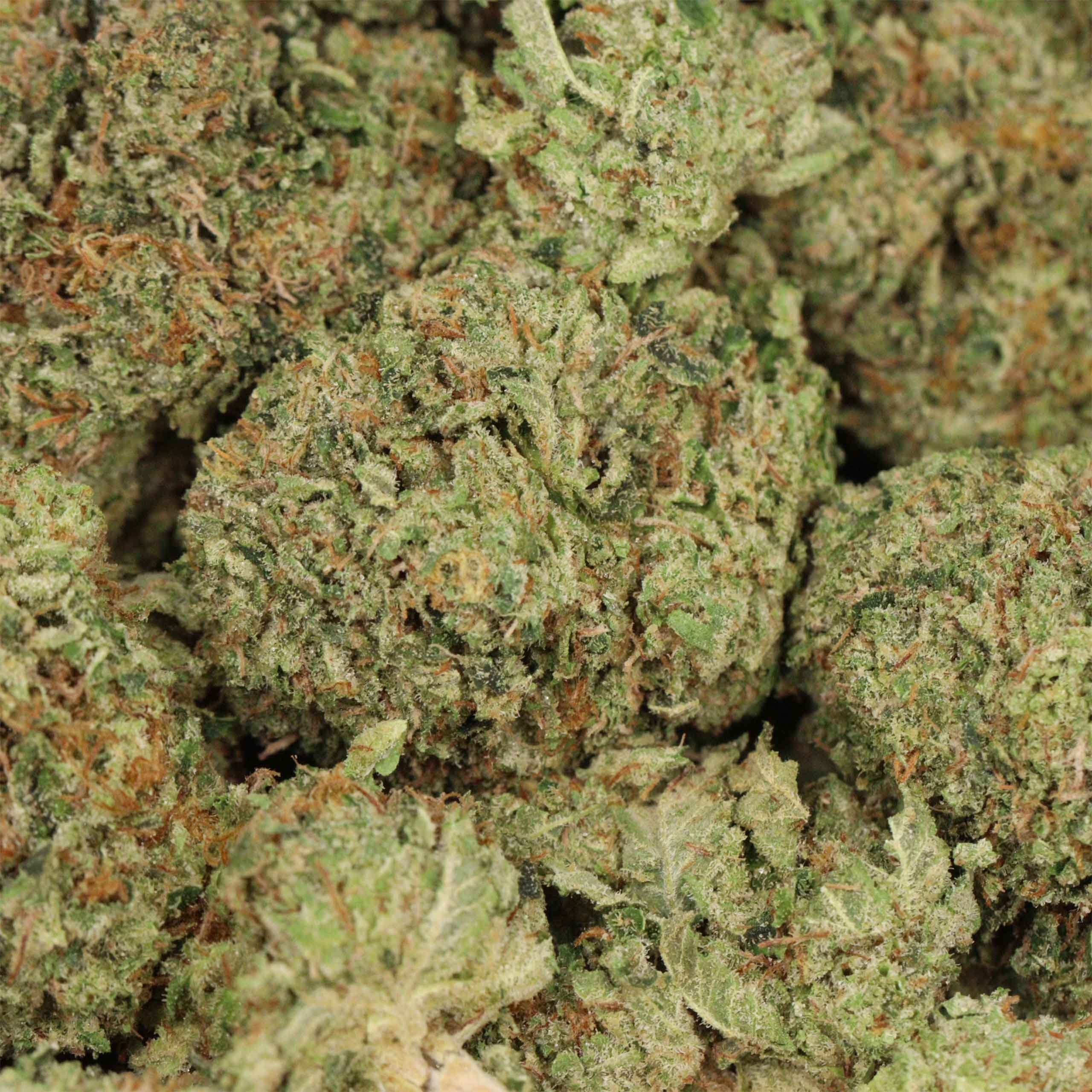 Hydro Death Bubba cannabis