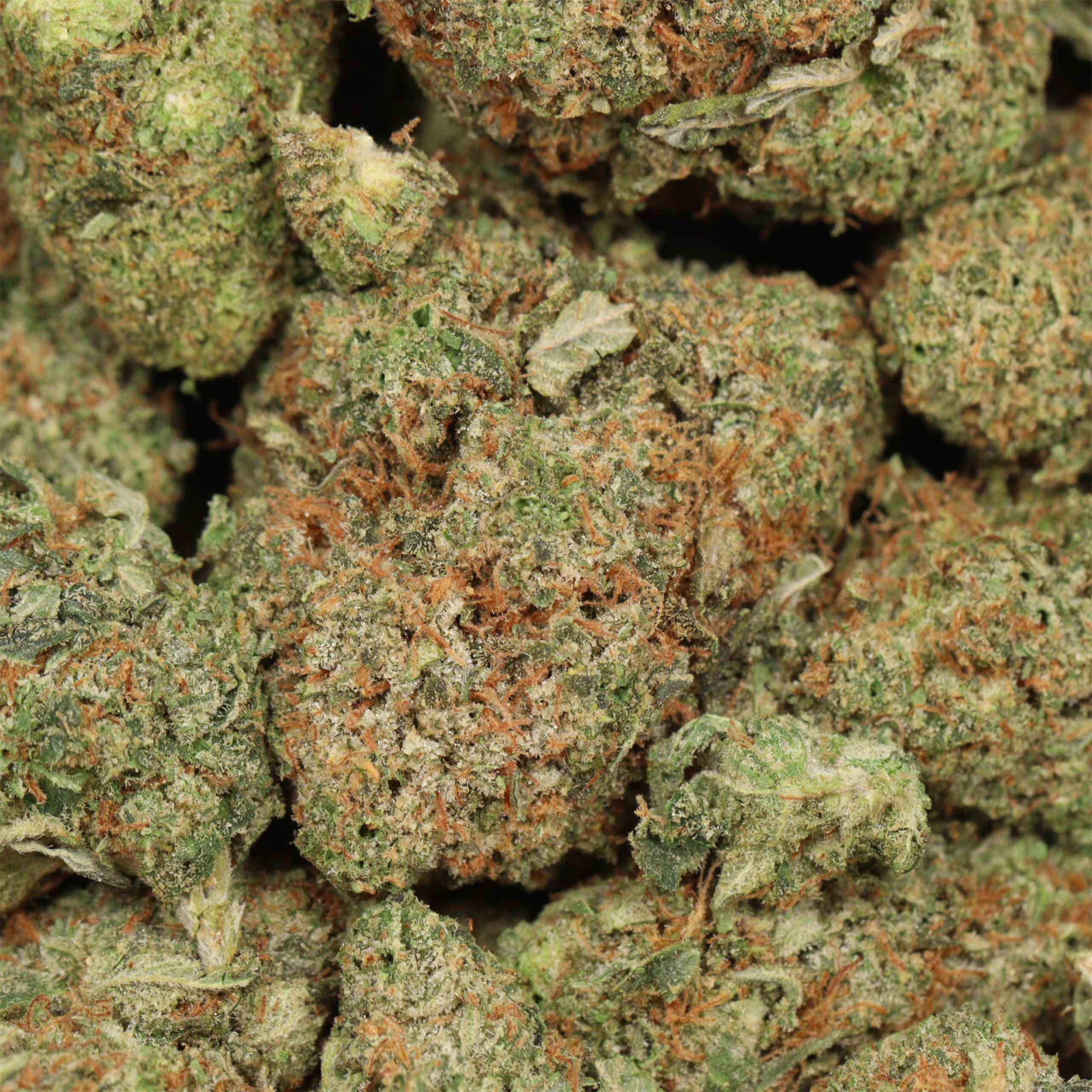 Lindsay OG - Image 3