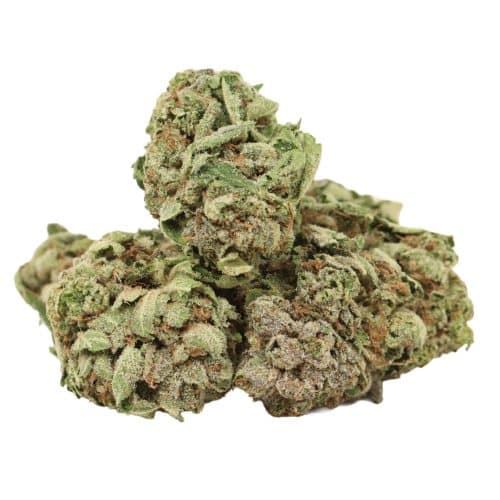 Pink Gas strain cannabis