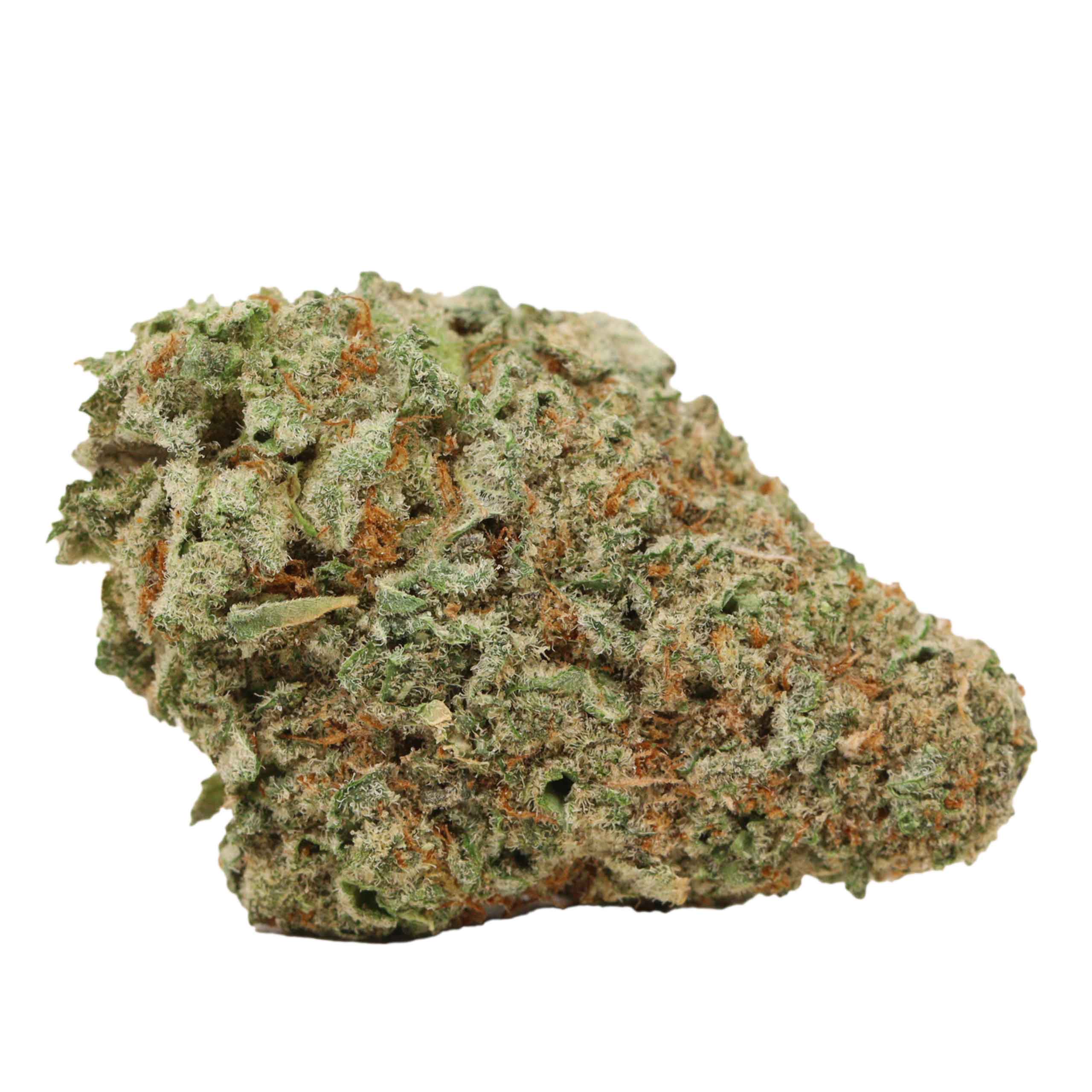 Four Star General - Image 2
