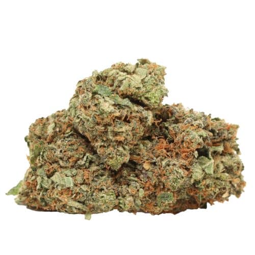 94 monkey strain cannabis