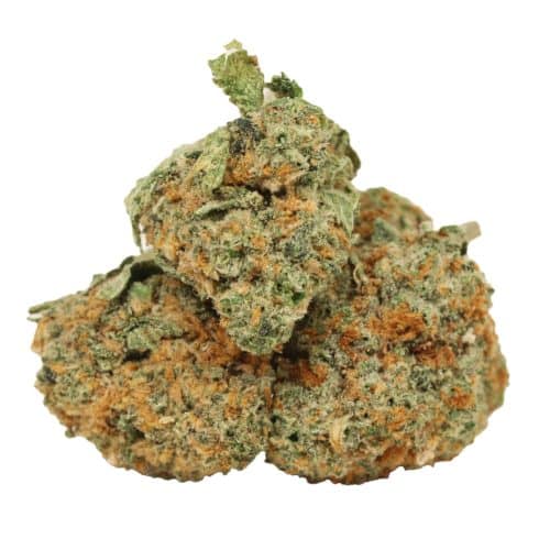 94 Monkey strain cannabis