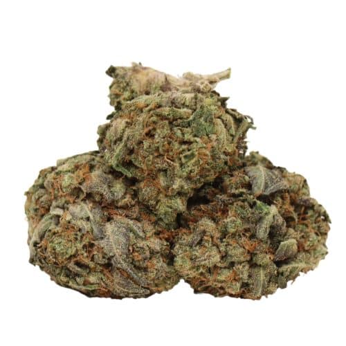 Ace Killer OG strain cannabis