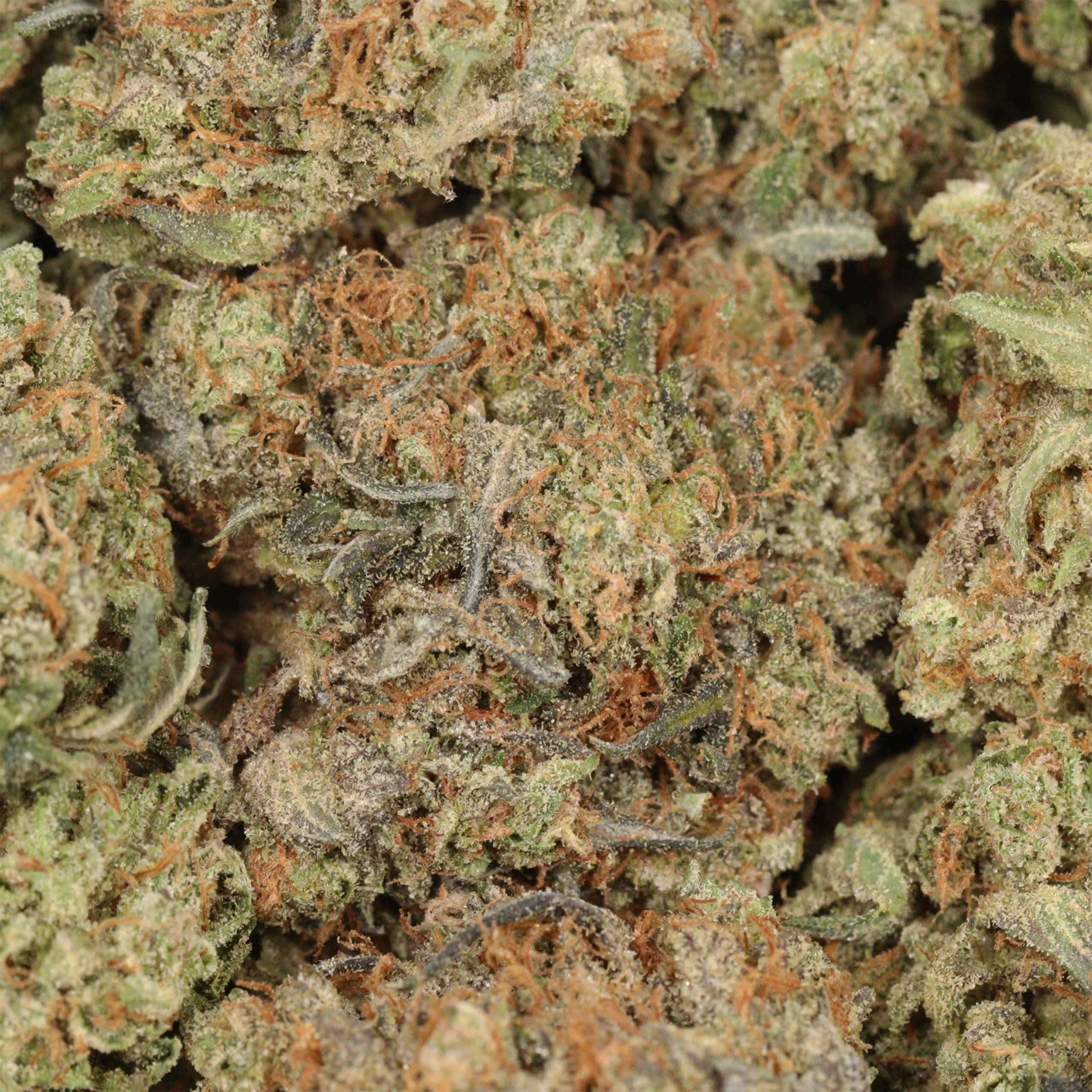 Ace Killer OG - Image 3