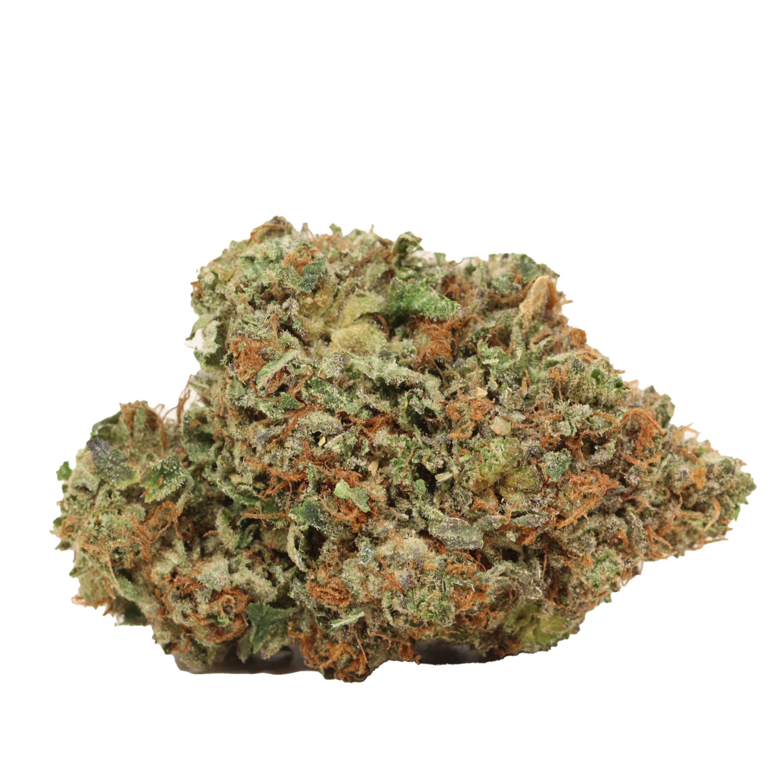 Afghani Pink - Image 2