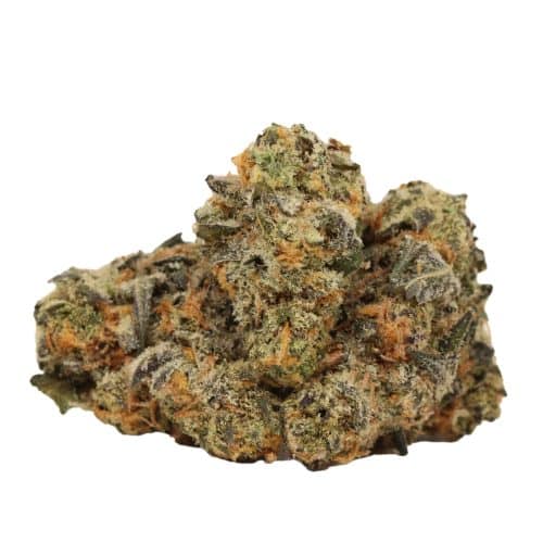 Afghani Kush strain cannabis