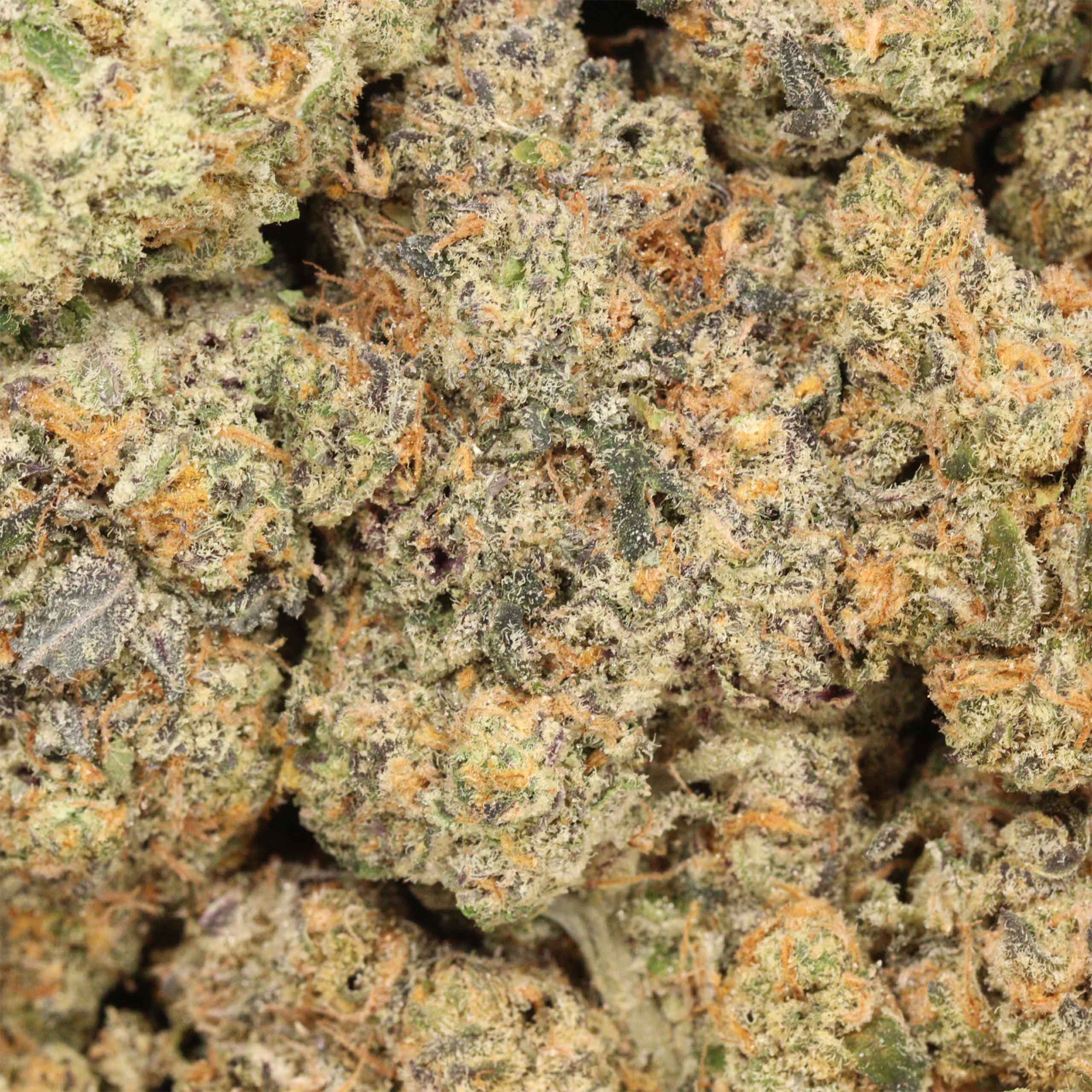 Afghani Kush - Image 3