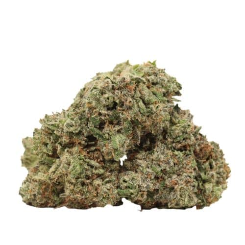 Ahi Tuna Kush strain cannabis