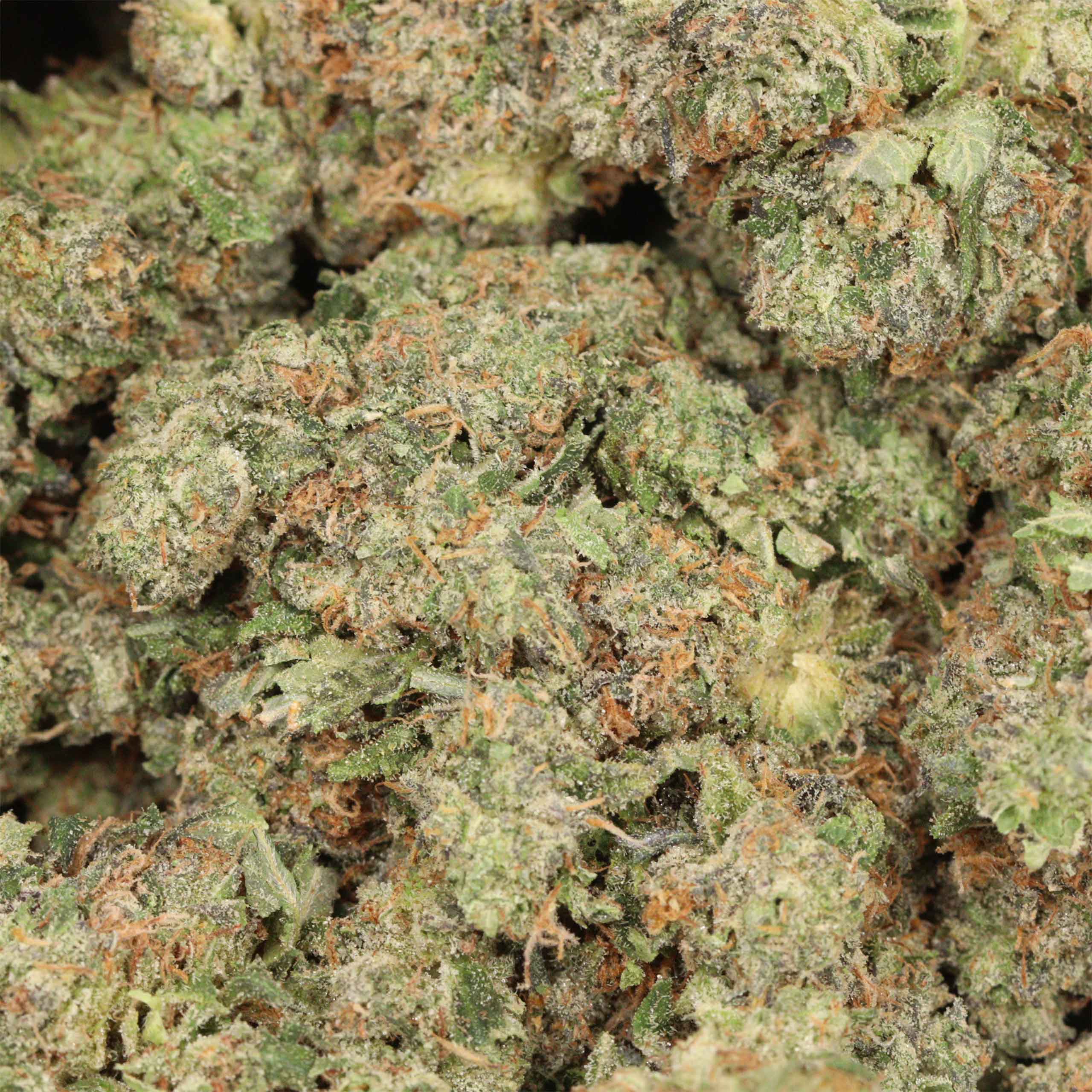 Ahi Tuna Kush - Image 3