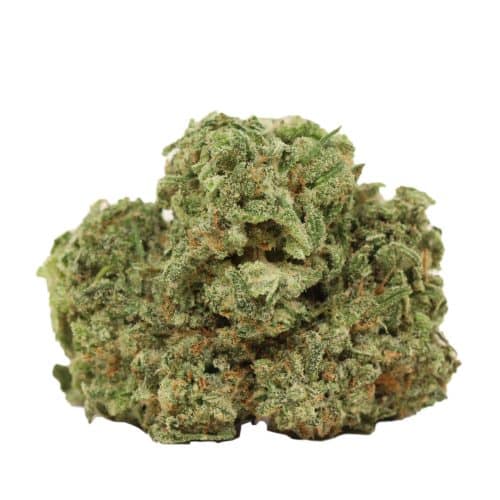 Alaskan Thunder Fuck strain cannabis