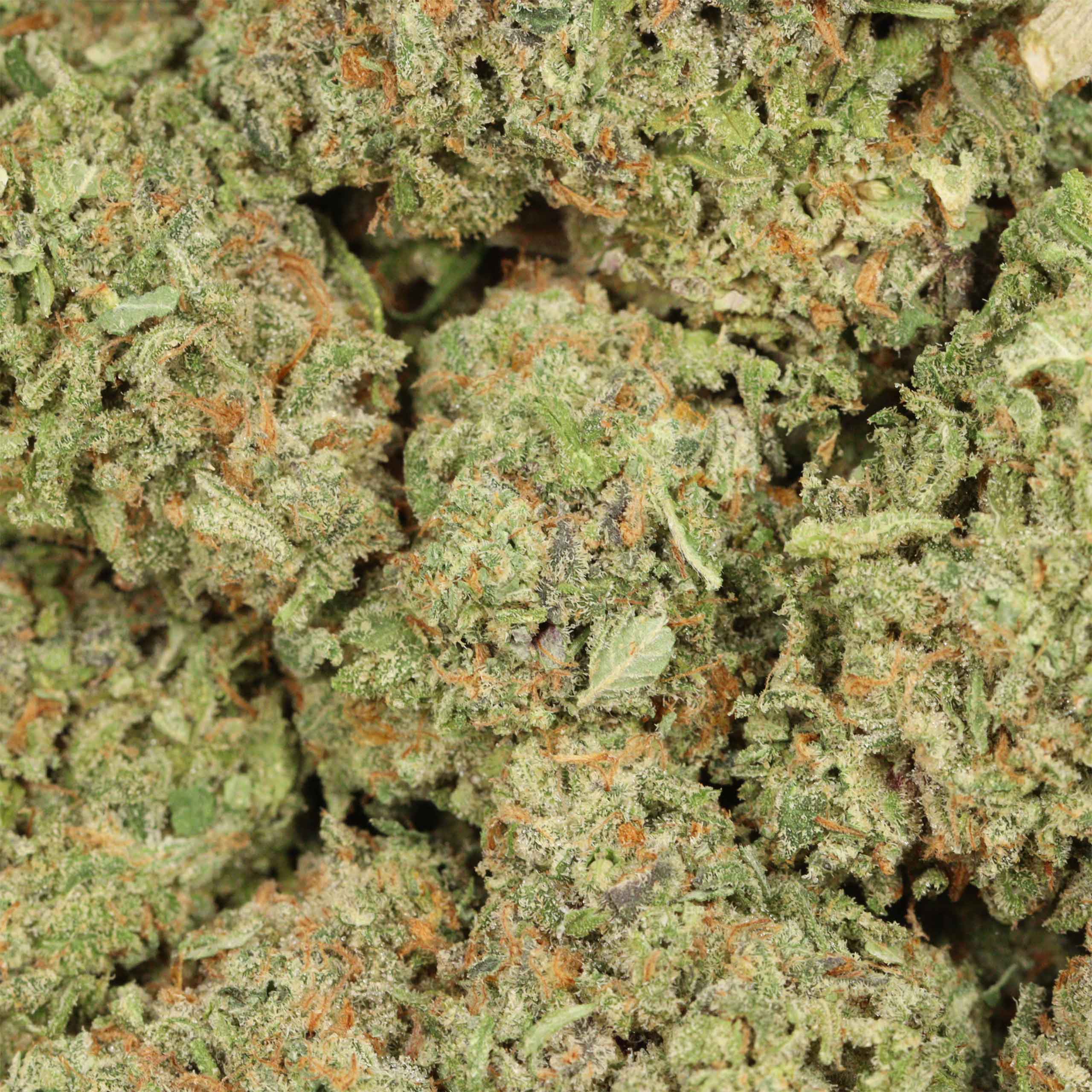 Alaskan Thunder Fuck - Image 3