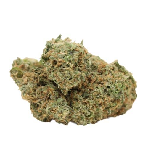 Alien Cookies strain cannabis