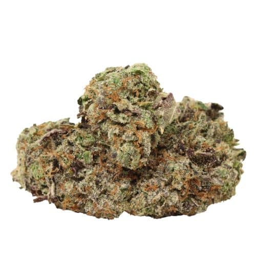 Astro Pink Kush craft strain cannabis
