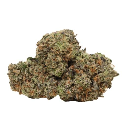 Astro Pink Kush strain cannabis
