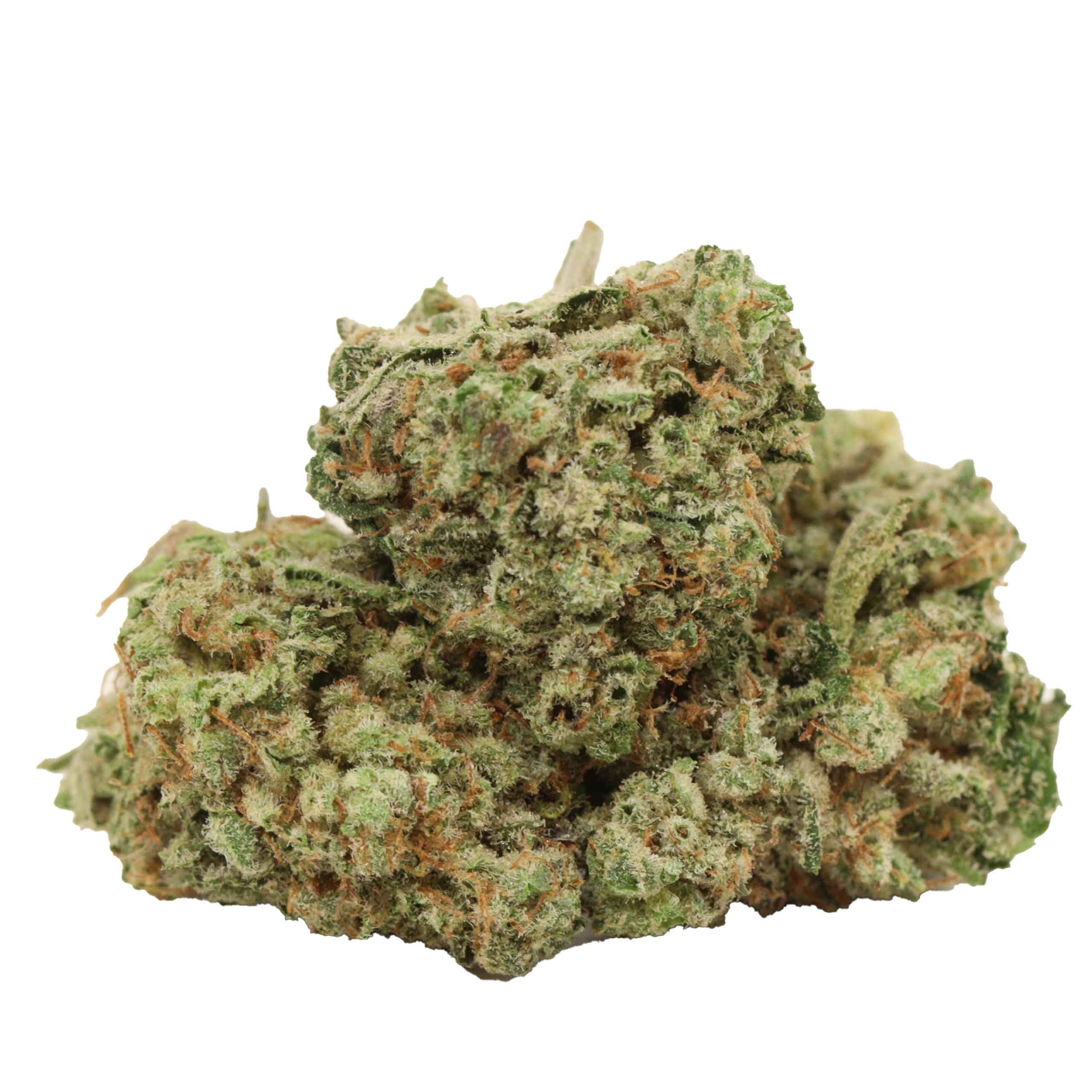 Atomic Blueberry strain cannabis