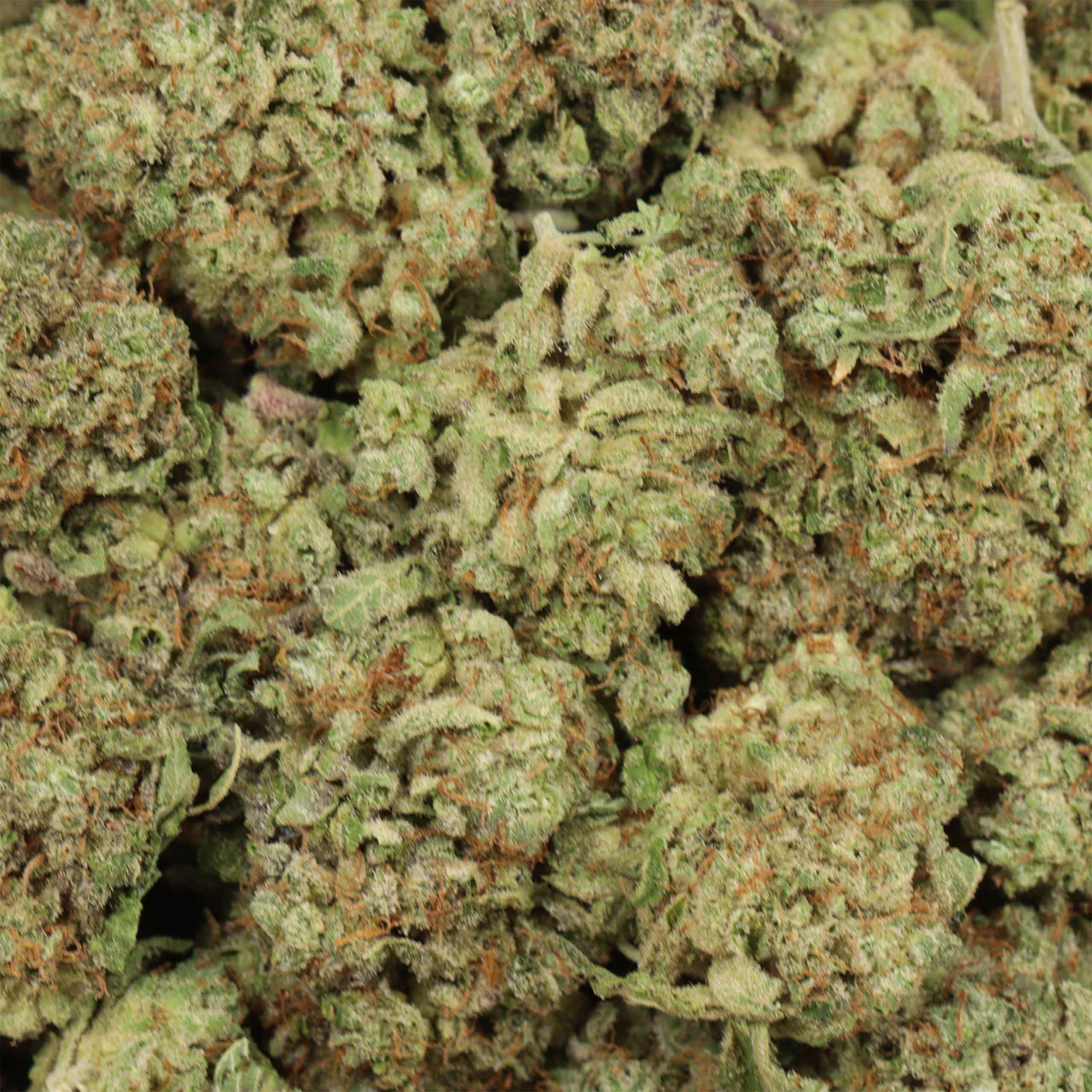 Atomic Blueberry - Image 3
