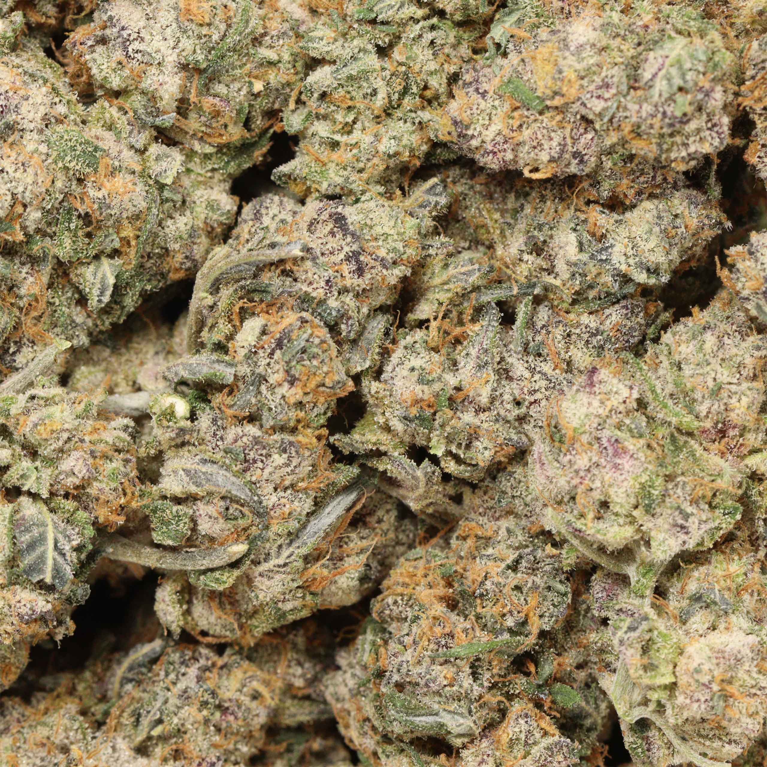 Ayahuasca Purple - Image 3