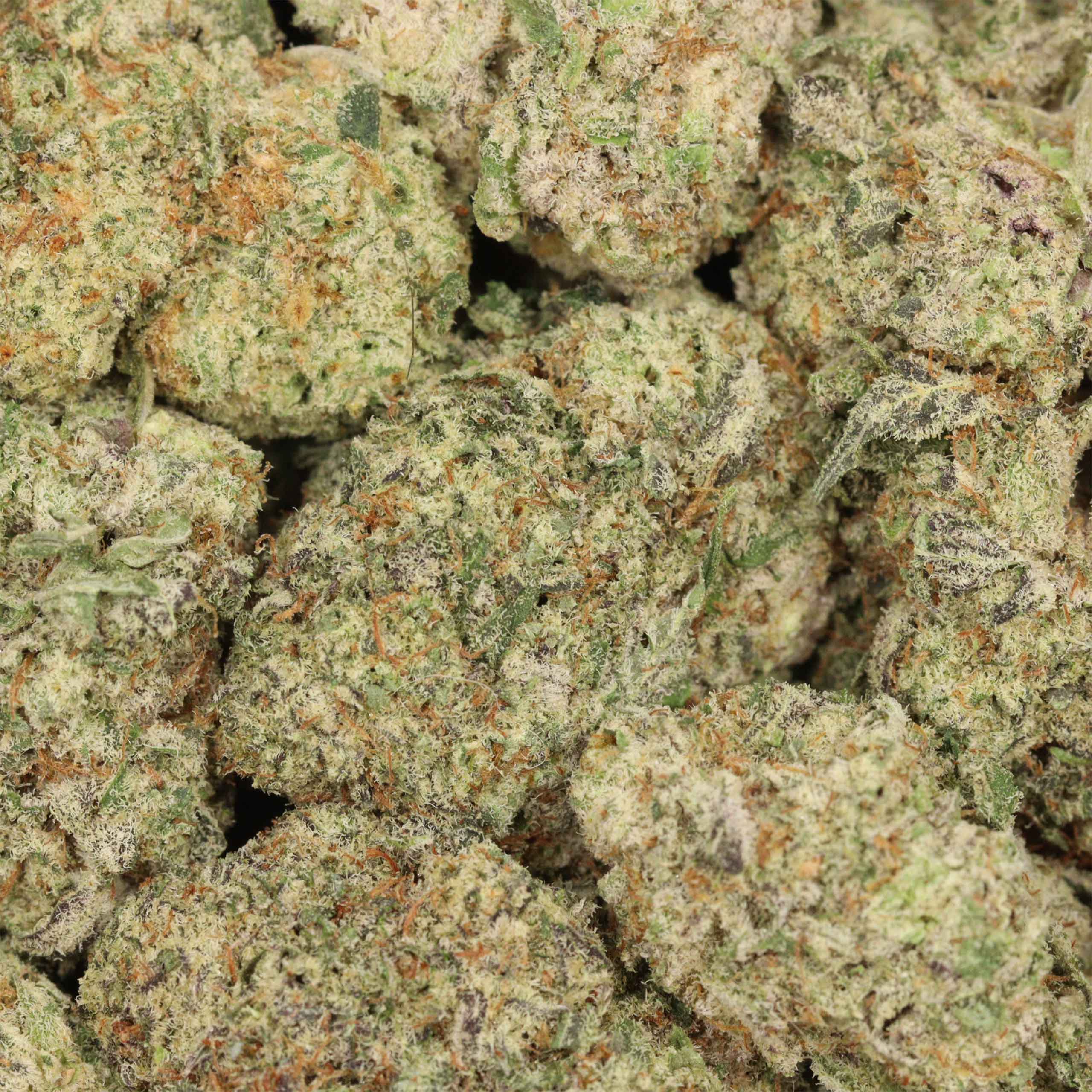 Banana Kush - Image 3