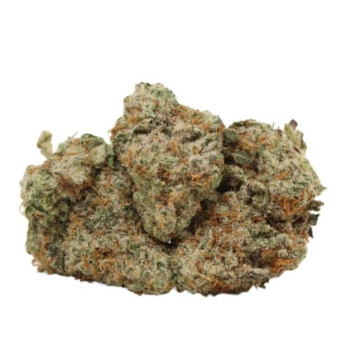 Big mac strain cannabis