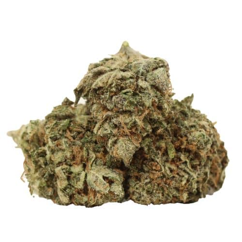 Black Nuken strain cannabis