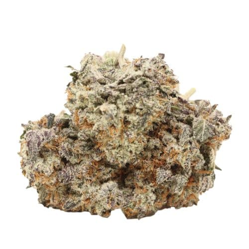 Black Cherry OG strain cannabis