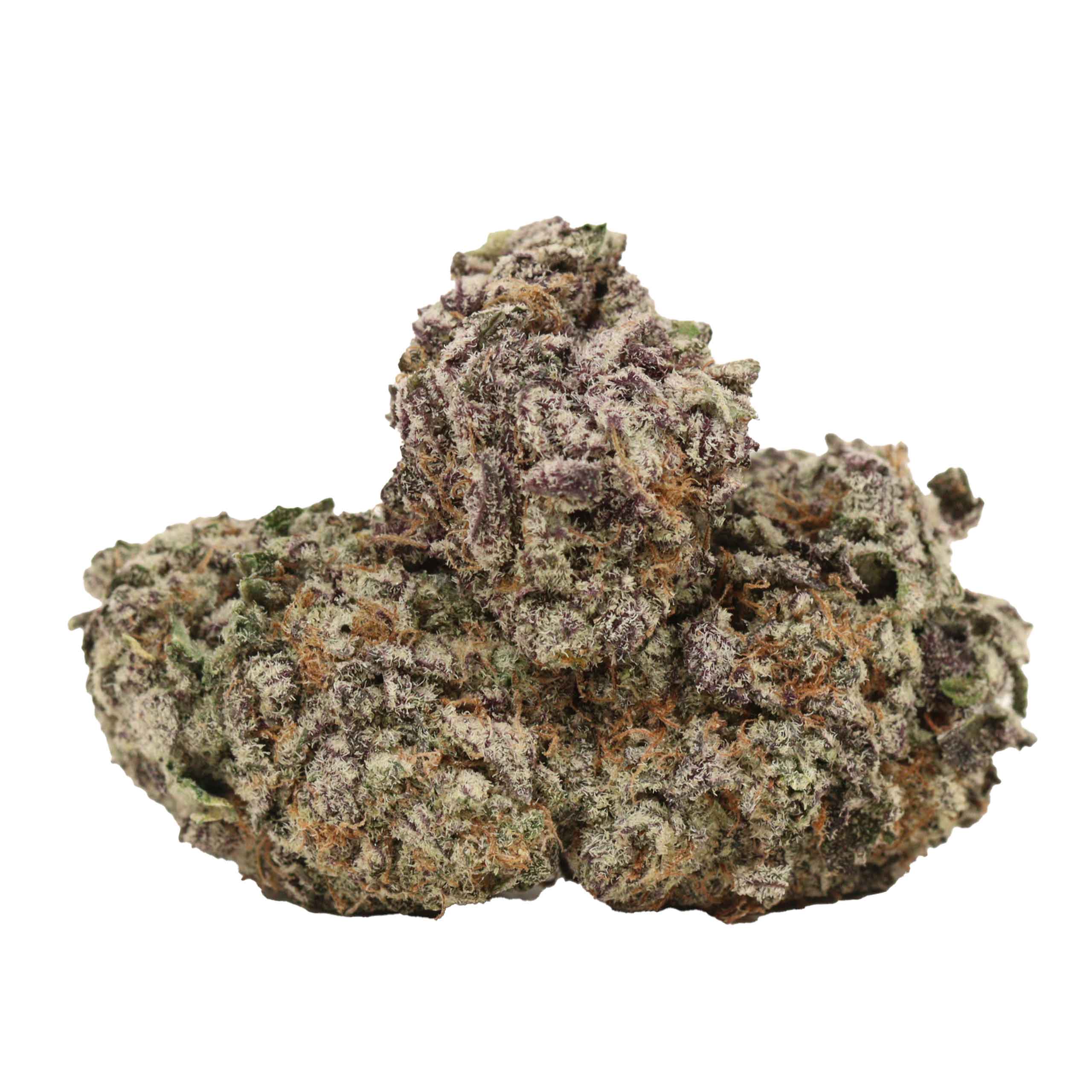Black Cherry OG strain cannabis
