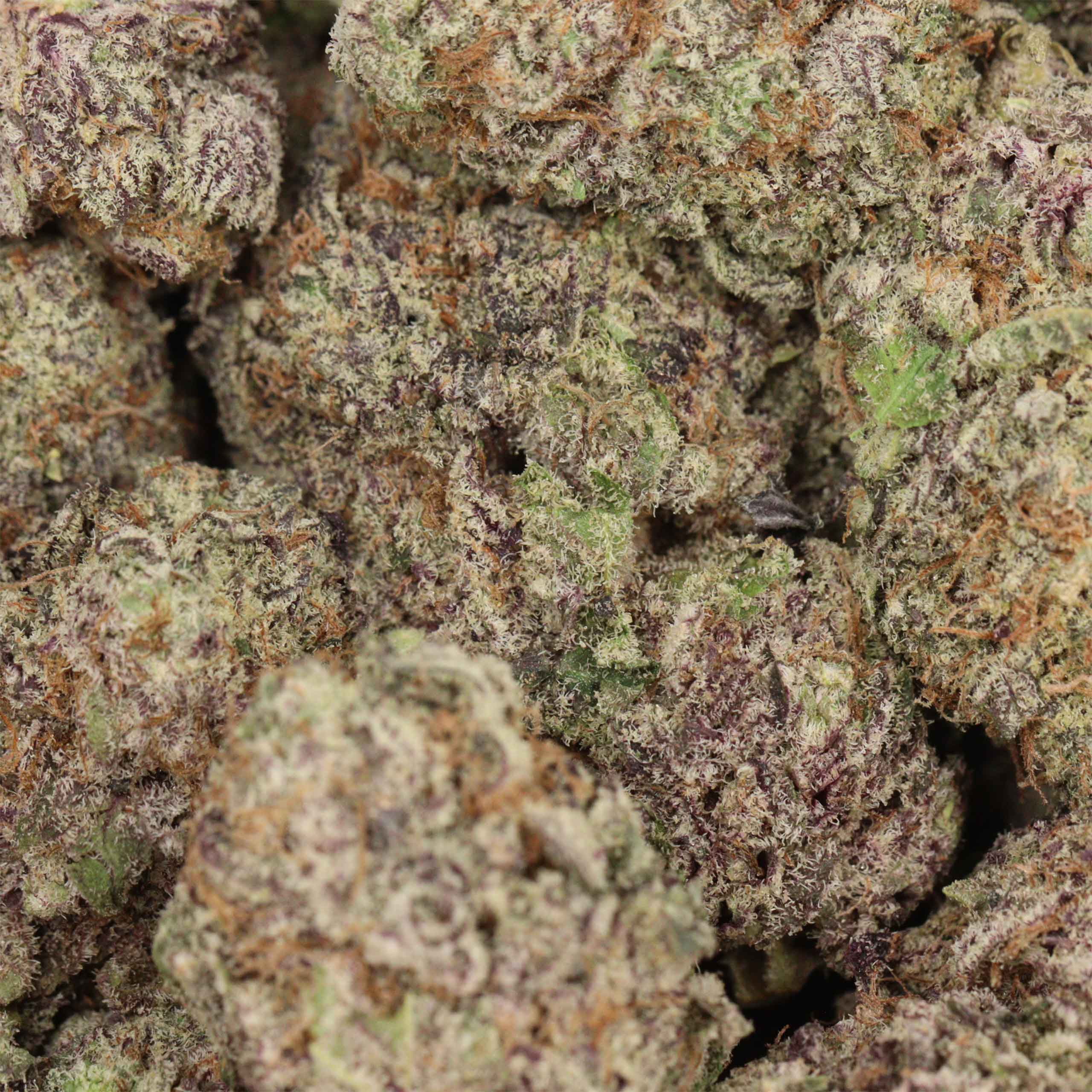 Black Cherry OG - Image 3