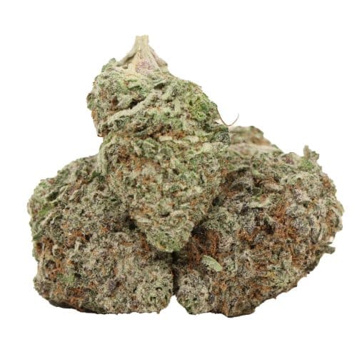 Black Forest Cake craft strain cannabis