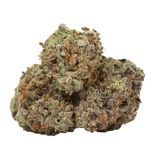 Black Gas craft strain cannabis