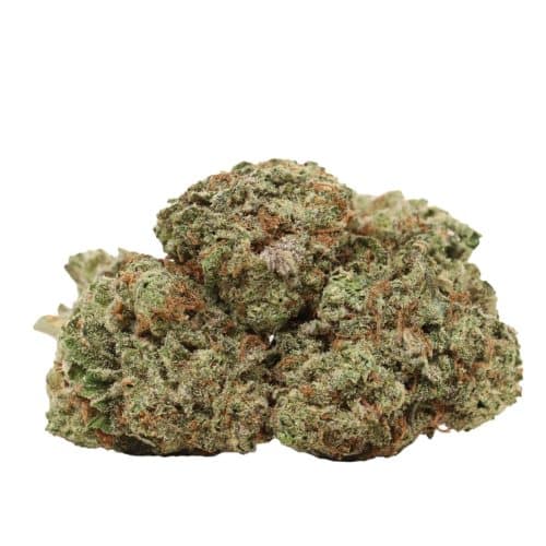 Black Widow strain cannabis