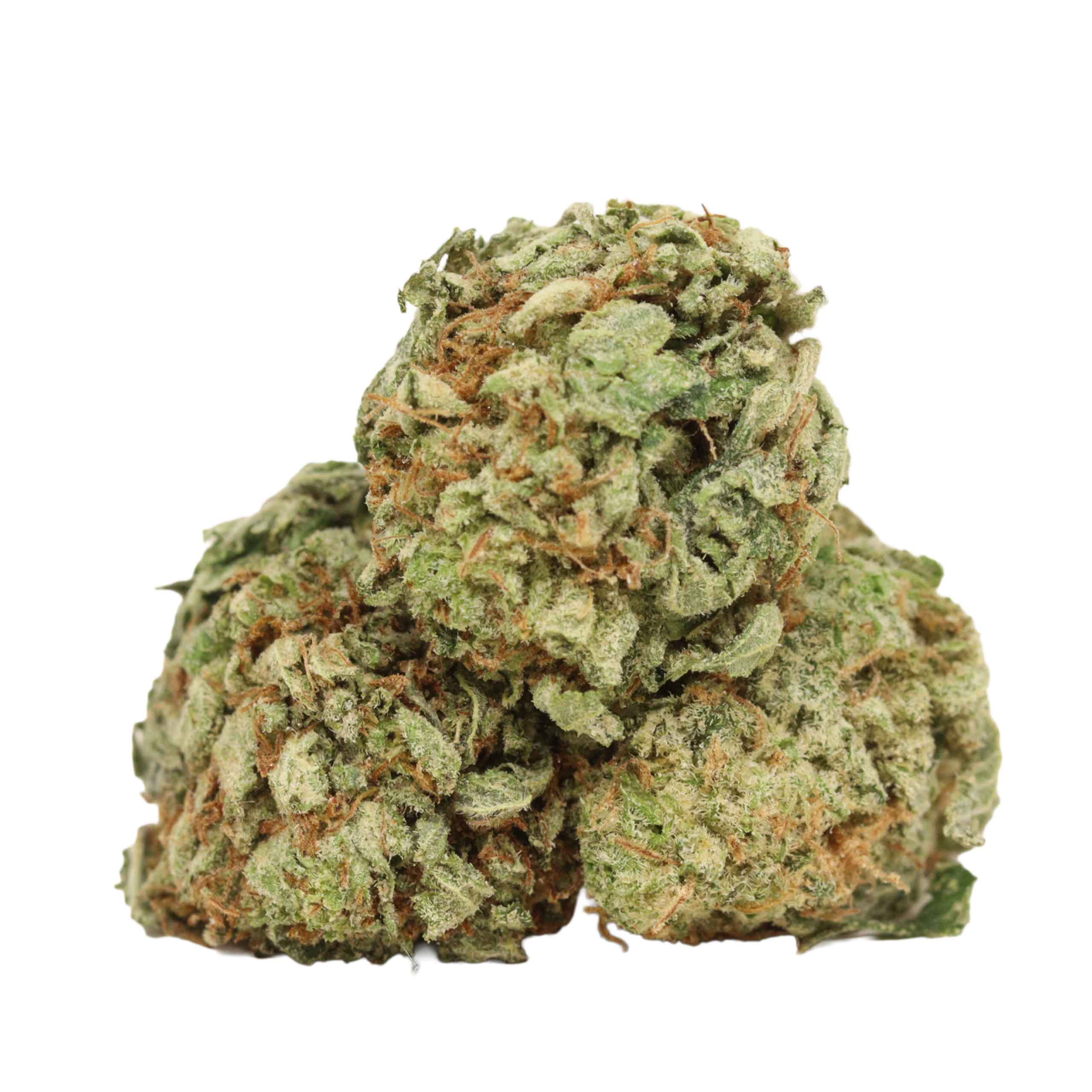 Blue King strain cannabis