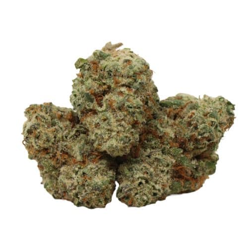 Blue Cheese strain cannabis