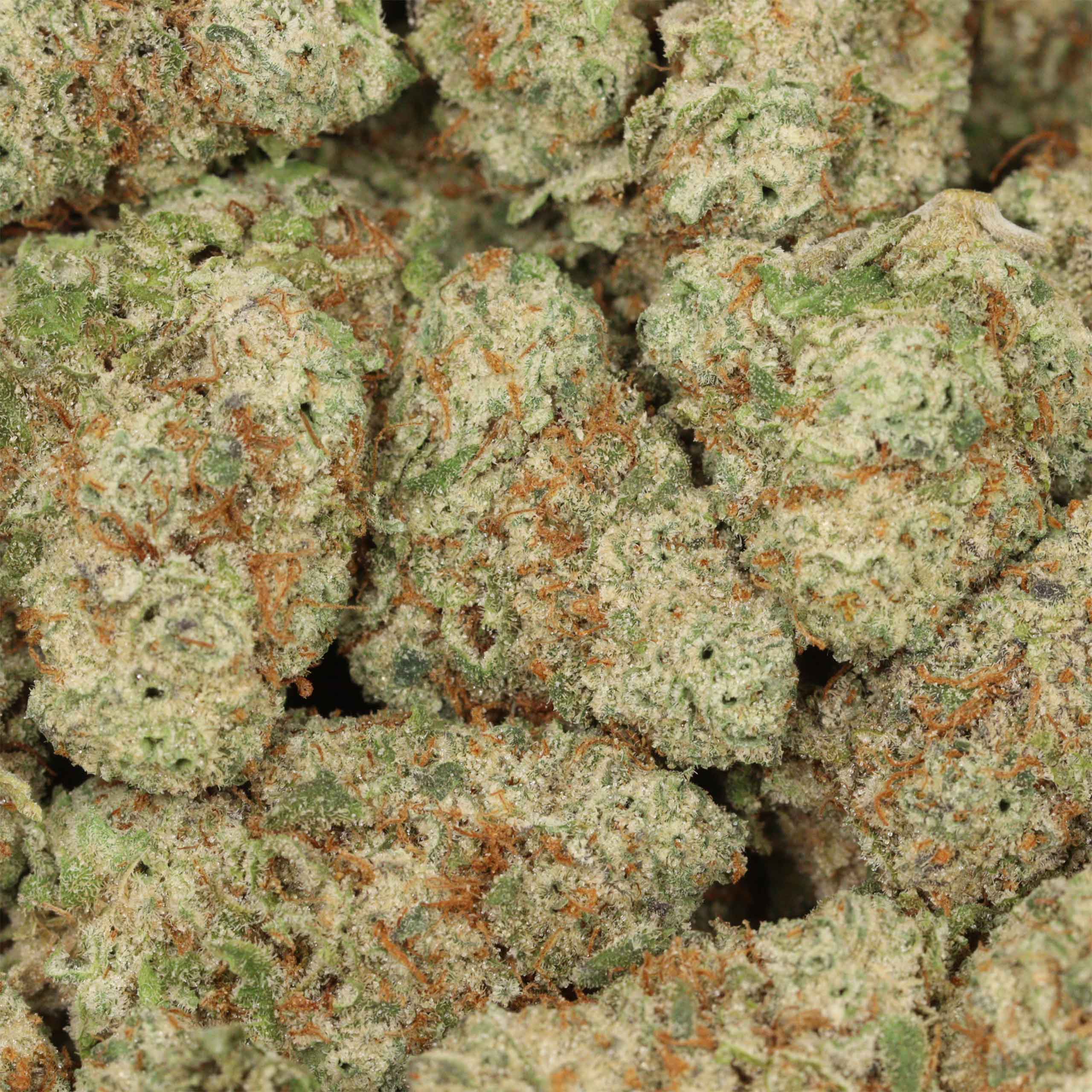 Blue Cheese - Image 3