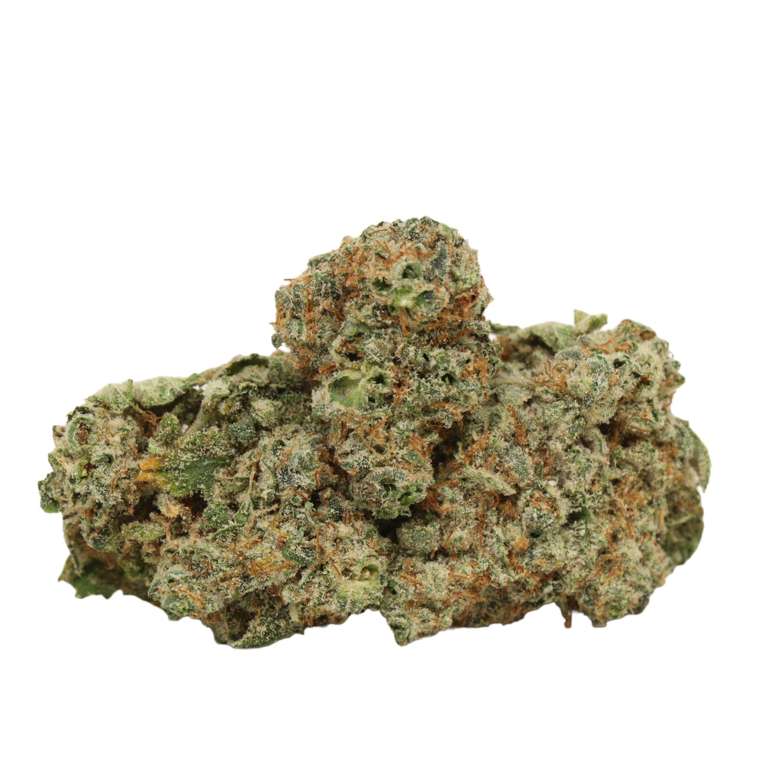 Blue Dream strain cannabis