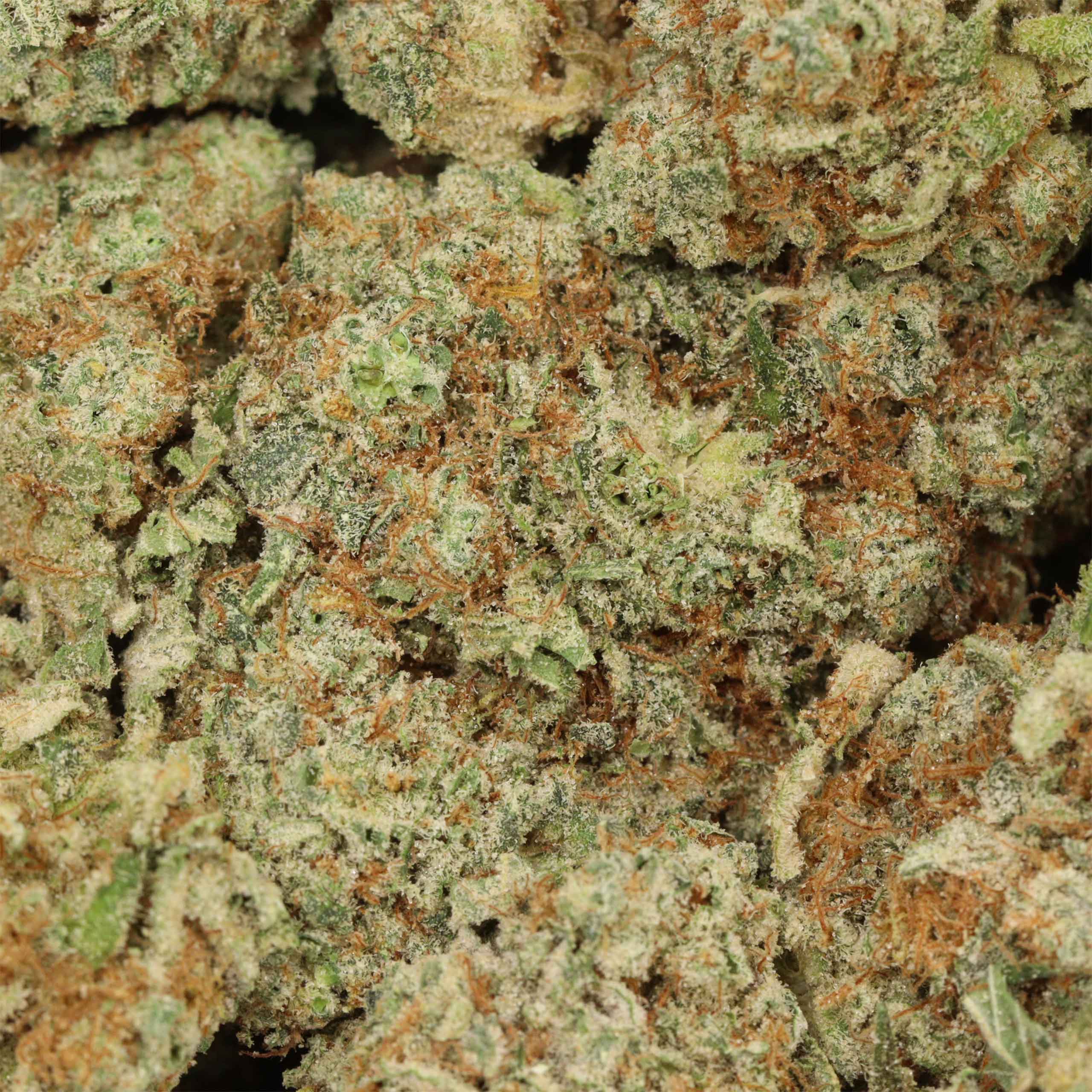 Blue Dream - Image 3