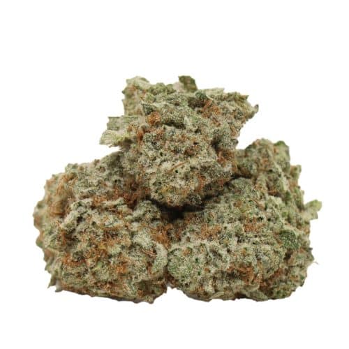 Blueberry AK strain cannabis