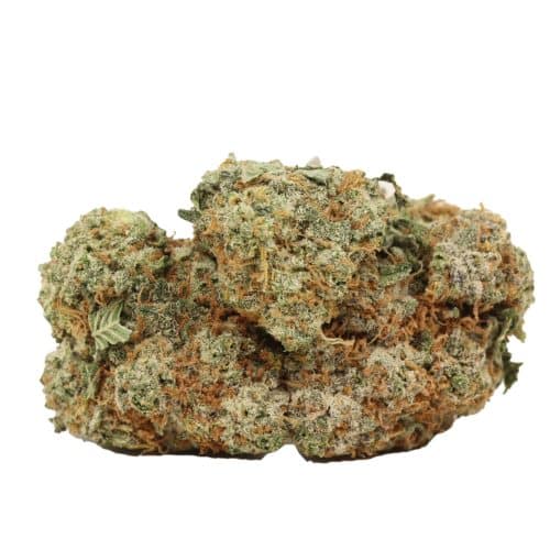 Blueberry Kush strain cannabis