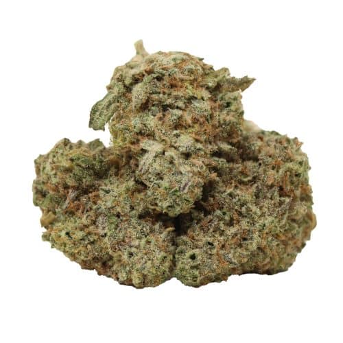 Blueberry Kush strain cannabis