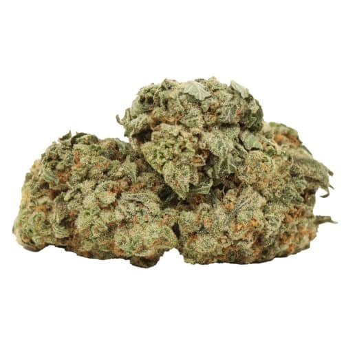 Bubba Kush strain cannabis