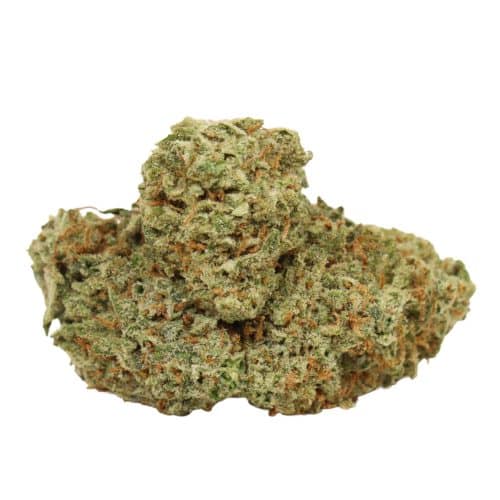 Candyland strain cannabis