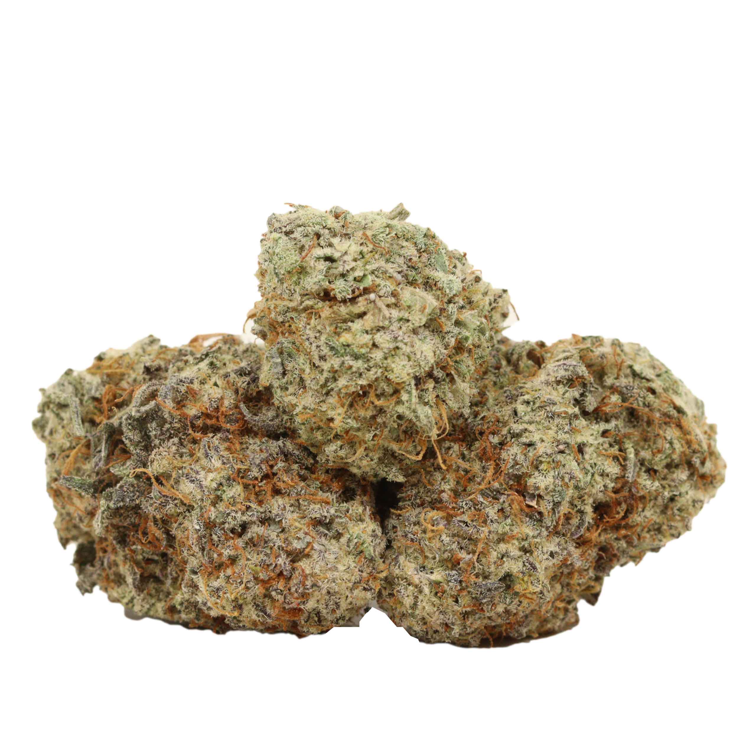 Chemo Kush strain cannabis