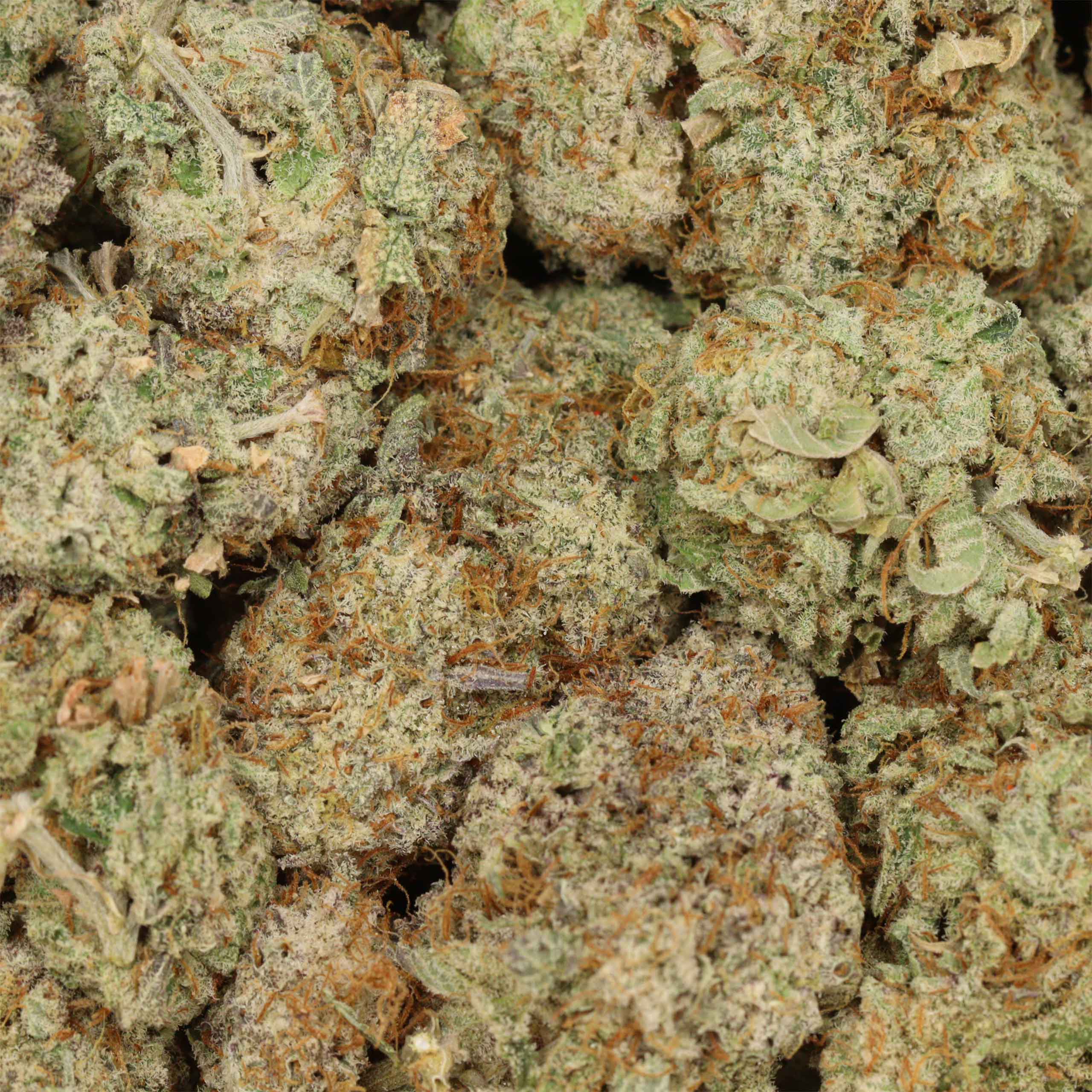Chemo Kush - Image 3