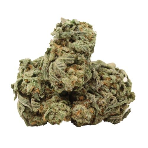 Cherry OG strain cannabis