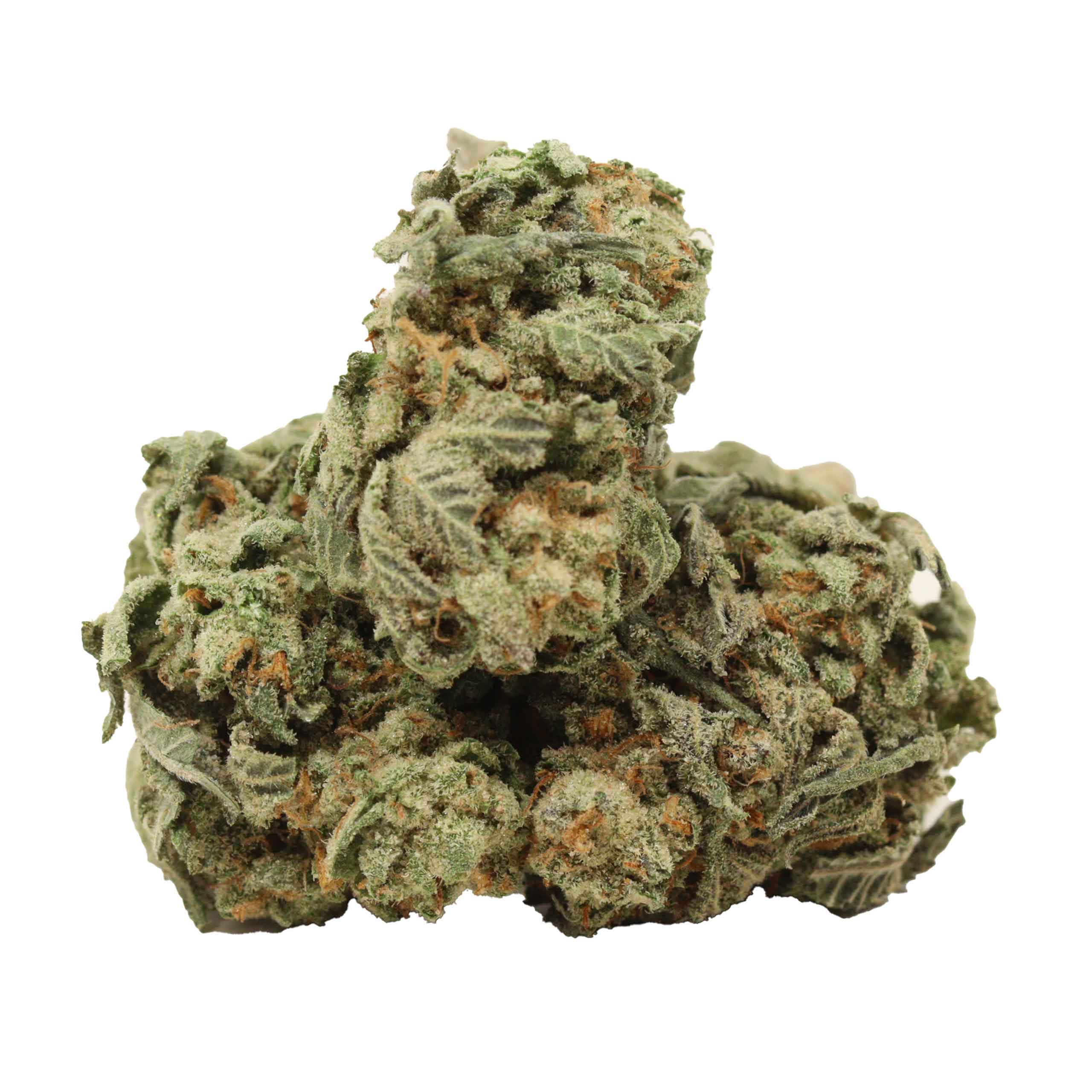 Cherry OG strain cannabis