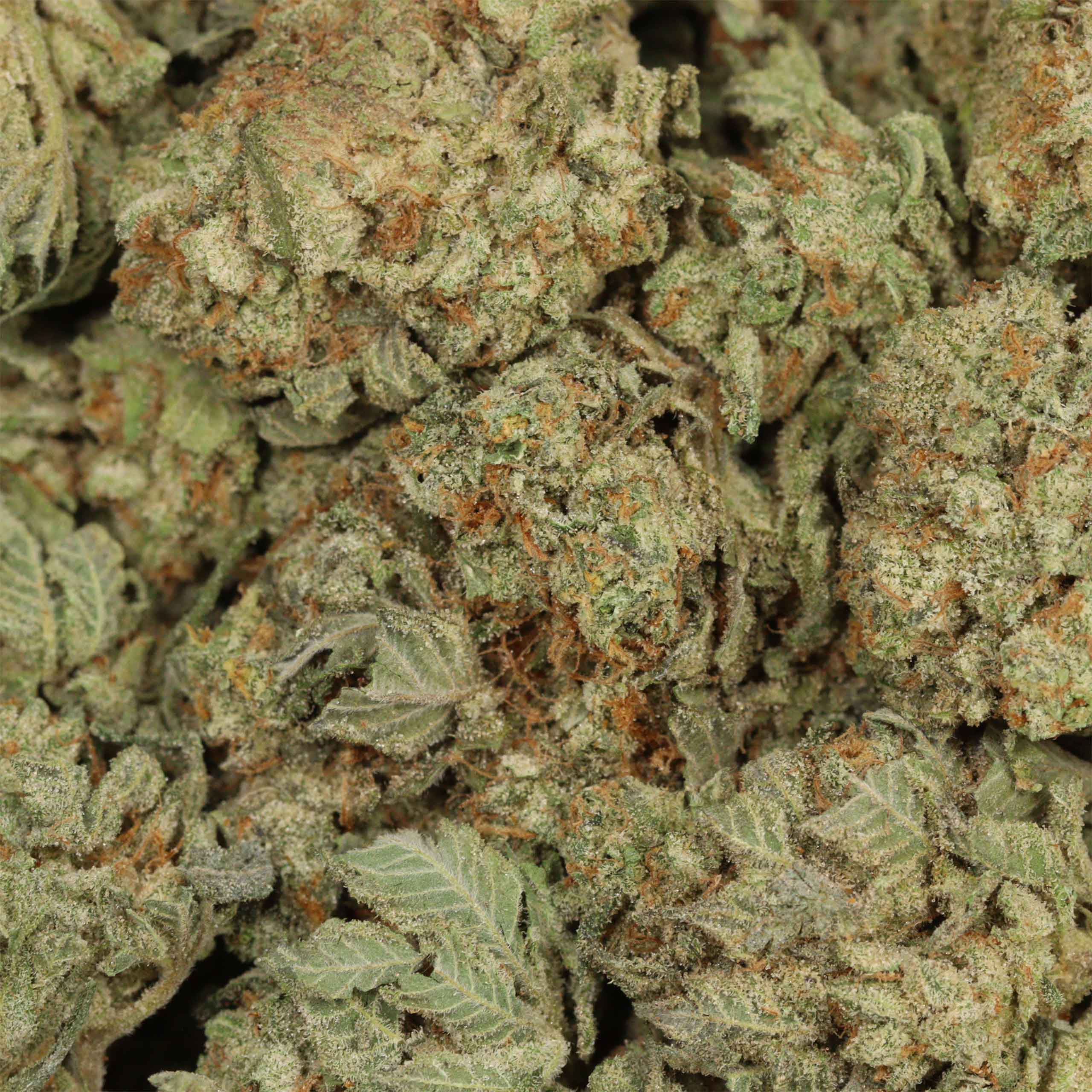 Cherry OG - Image 3